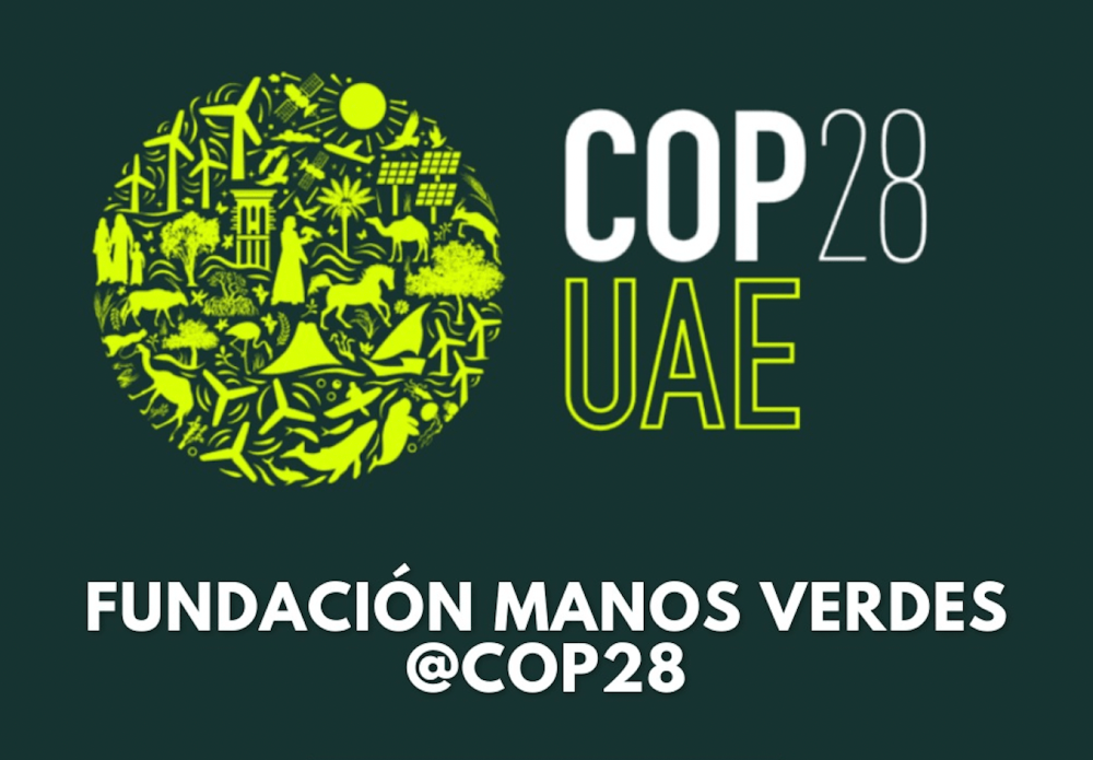 30/11 – 12/12 – COP28 in Dubai