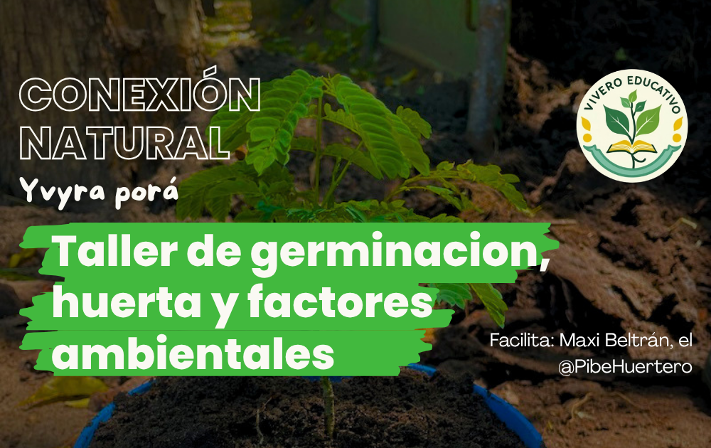20/6 – Taller de huerta y plantación de nativas