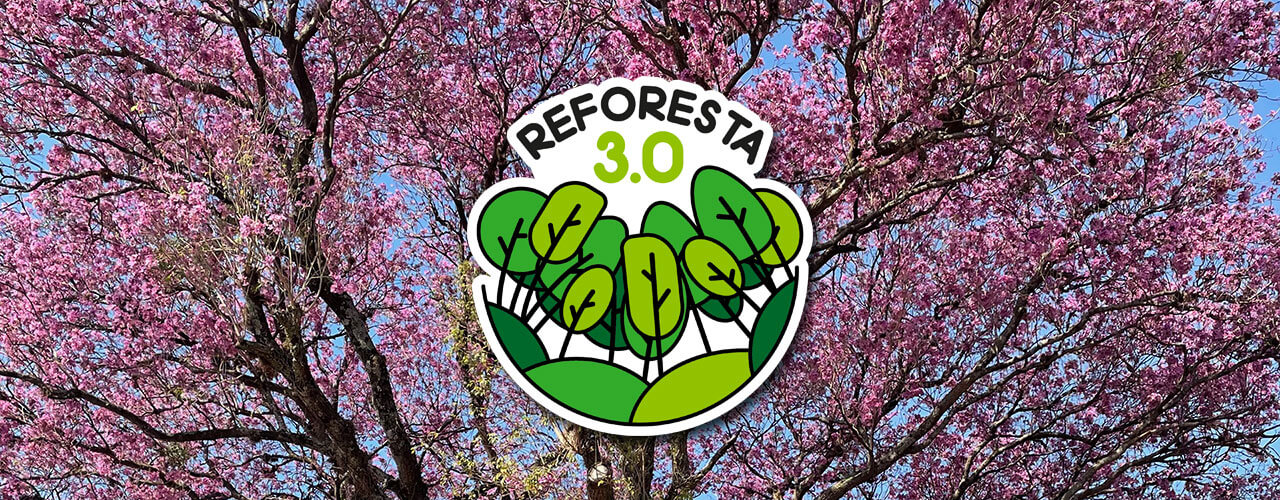 Reforesta 3.0 ¡adopta un árbol!